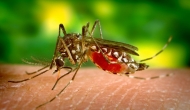 CDC gives hospitals 9 things to consider about Zika and healthcare